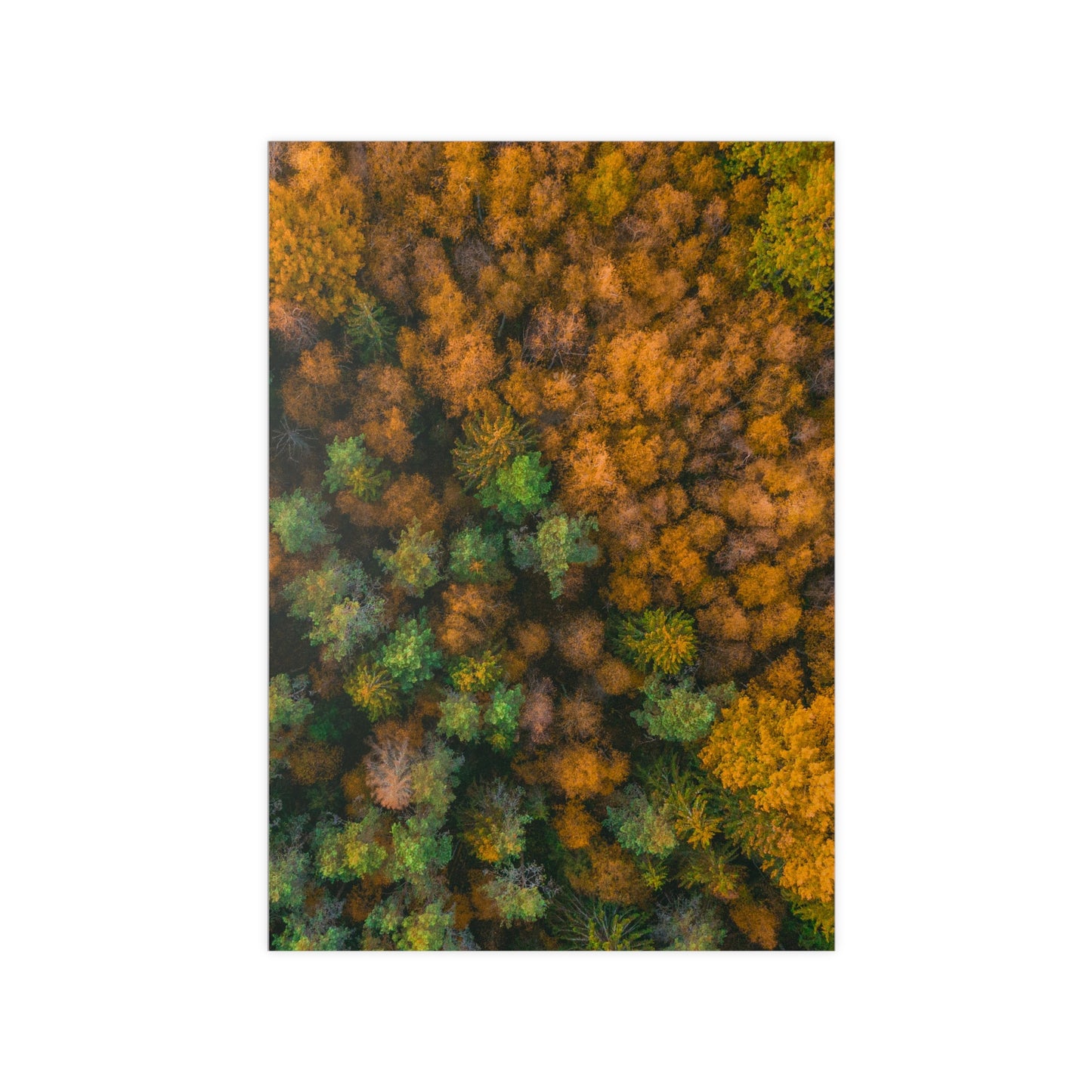 Herbst in Estland